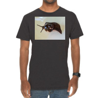 Snail Art Vintage T-shirt | Artistshot