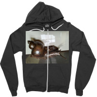 Snail Art Zipper Hoodie | Artistshot