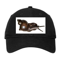 Snail Art Adjustable Cap | Artistshot