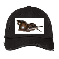 Snail Art Vintage Cap | Artistshot