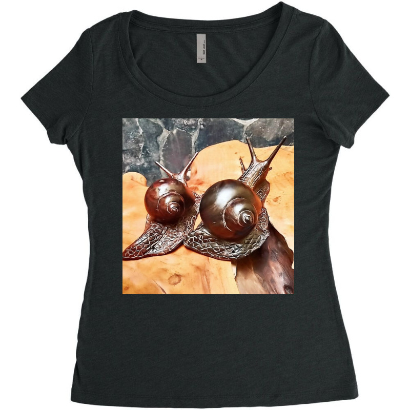 Snail Art Women's Triblend Scoop T-shirt by argo | Artistshot