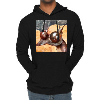 Snail Art Lightweight Hoodie | Artistshot