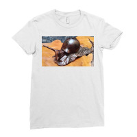 Snail Art Ladies Fitted T-shirt | Artistshot