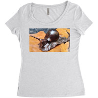 Snail Art Women's Triblend Scoop T-shirt | Artistshot