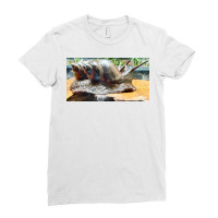 Snail Ladies Fitted T-shirt | Artistshot