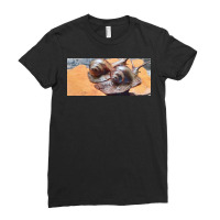 Snail Ladies Fitted T-shirt | Artistshot