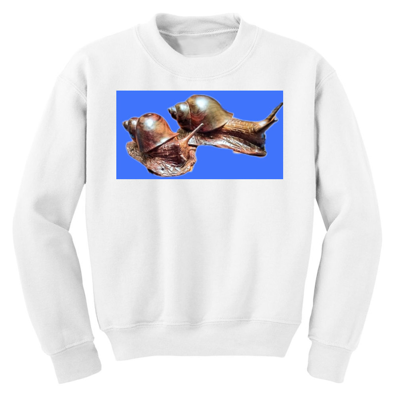 Snail Youth Sweatshirt by argo | Artistshot