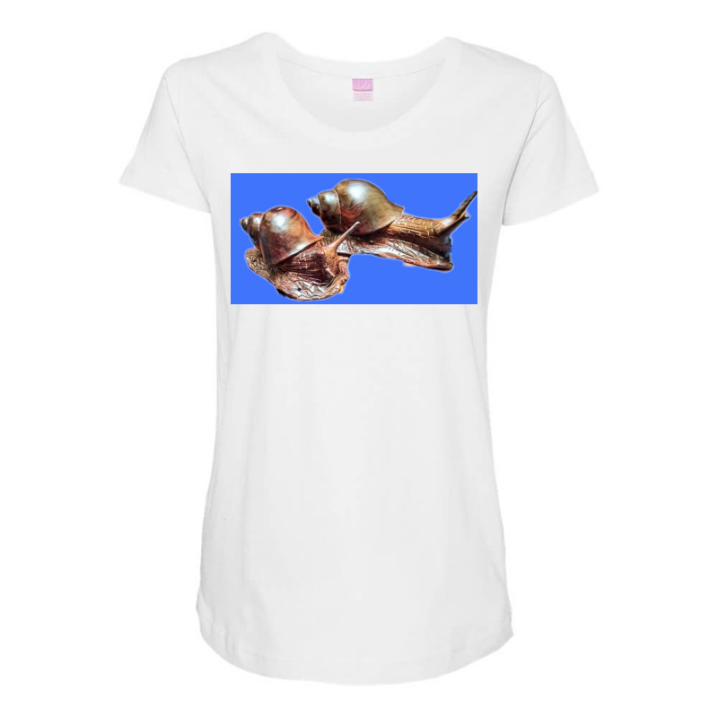 Snail Maternity Scoop Neck T-shirt by argo | Artistshot