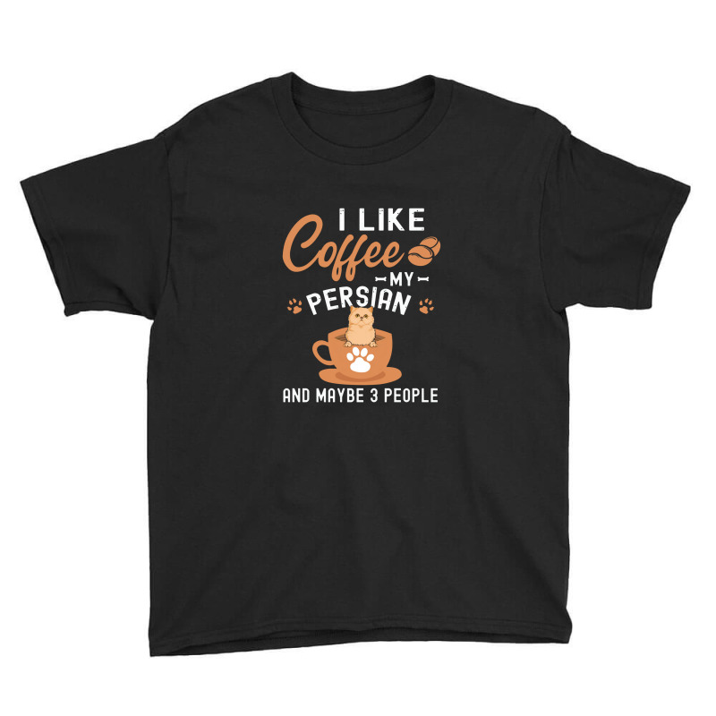 I Like Coffee My Persian And Maybe 3 People Youth Tee | Artistshot