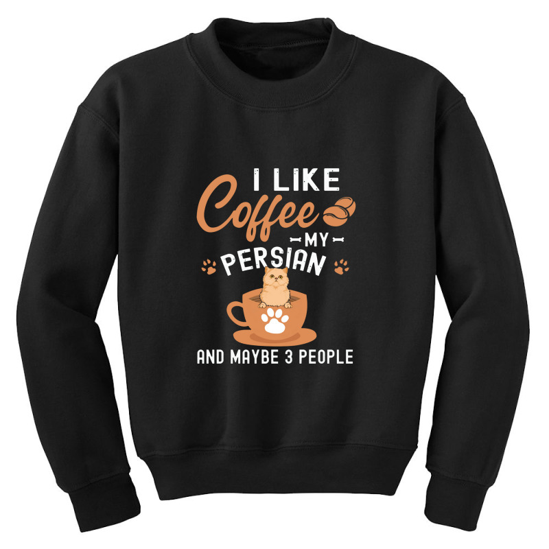 I Like Coffee My Persian And Maybe 3 People Youth Sweatshirt | Artistshot