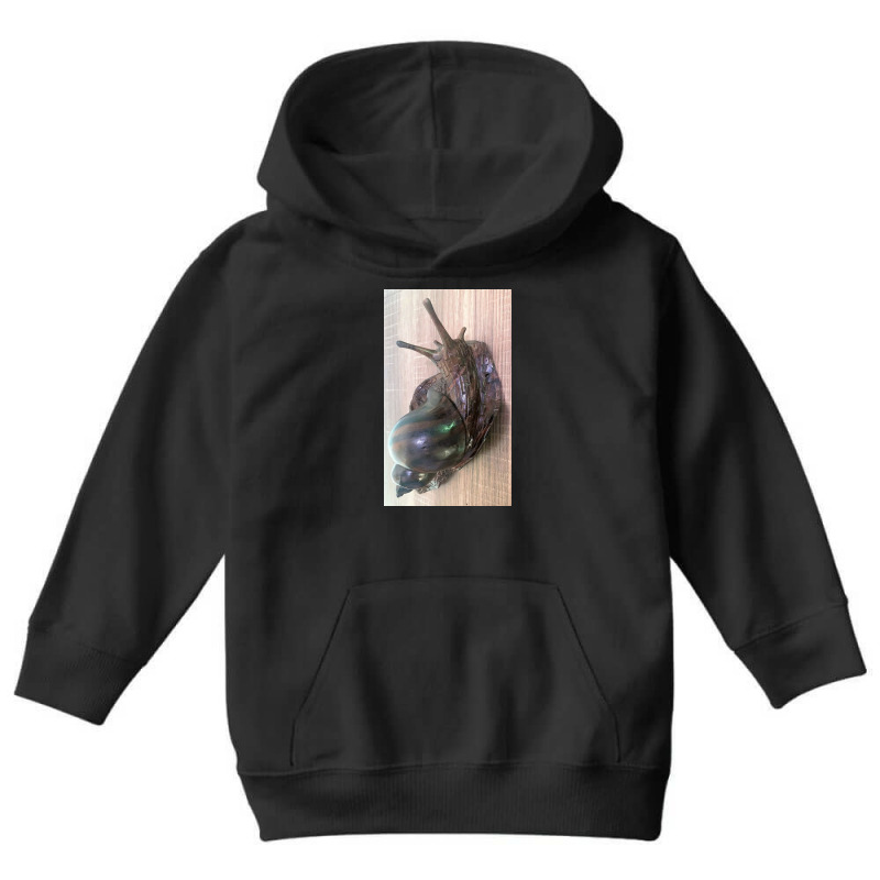 Snail Never Underestimate A Girl With A Snail T Shirt Youth Hoodie by argo | Artistshot