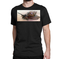 Snail Art Classic T-shirt | Artistshot