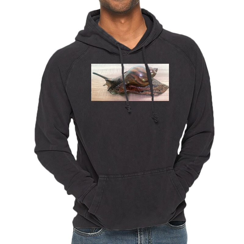 Snail Art Vintage Hoodie by argo | Artistshot