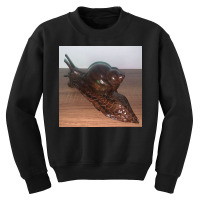 Snail Art Cute Nature Snails T Shirt Youth Sweatshirt | Artistshot