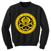 The Guild Of Calamitous Intent Youth Sweatshirt | Artistshot