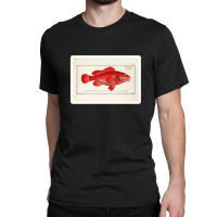 Antique Crustacean Print Homarus Americanus The American Lobster 57476 Classic T-shirt | Artistshot