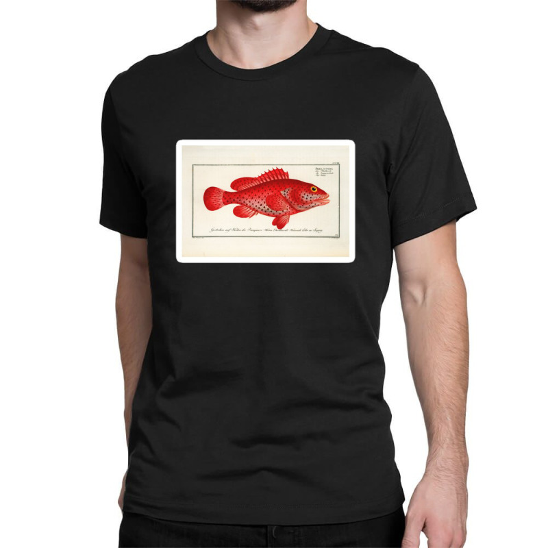 Antique Crustacean Print Homarus Americanus The American Lobster 57476 Classic T-shirt | Artistshot