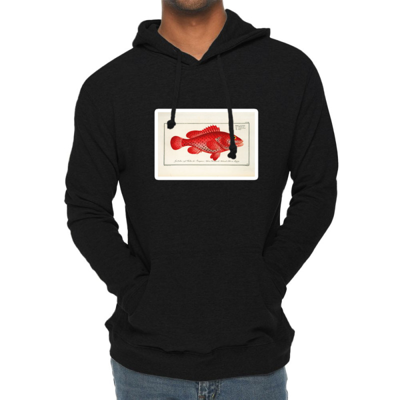 Antique Crustacean Print Homarus Americanus The American Lobster 57476 Lightweight Hoodie | Artistshot