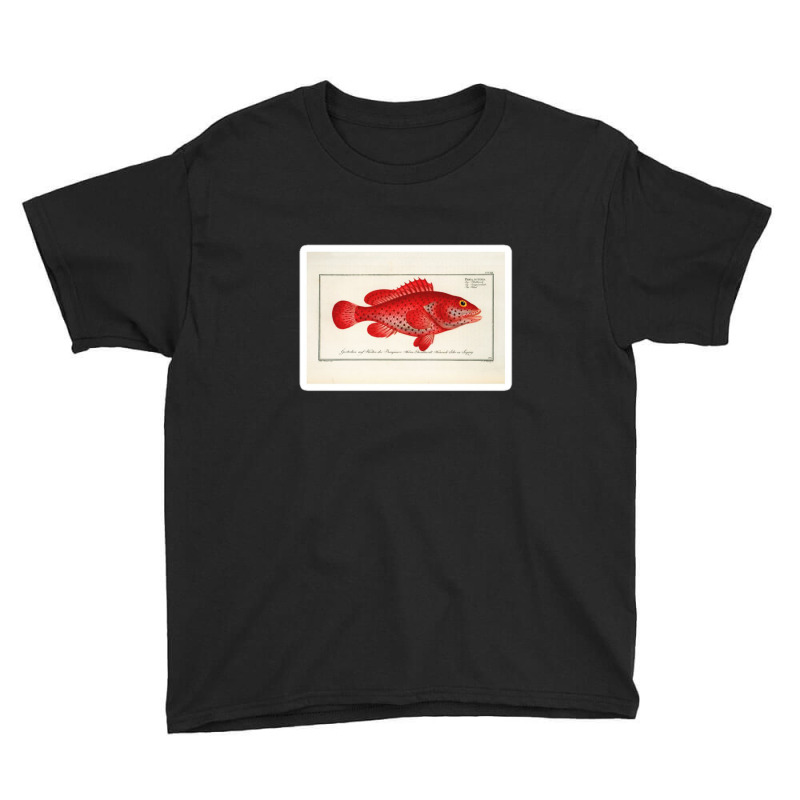 Antique Crustacean Print Homarus Americanus The American Lobster 57476 Youth Tee | Artistshot