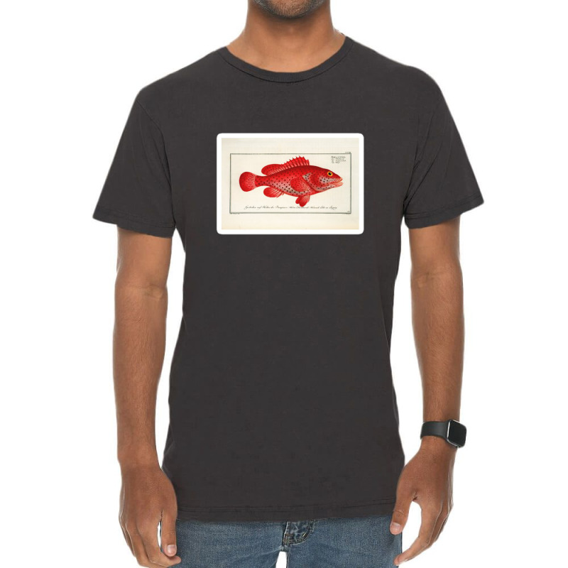 Antique Crustacean Print Homarus Americanus The American Lobster 57476 Vintage T-shirt | Artistshot