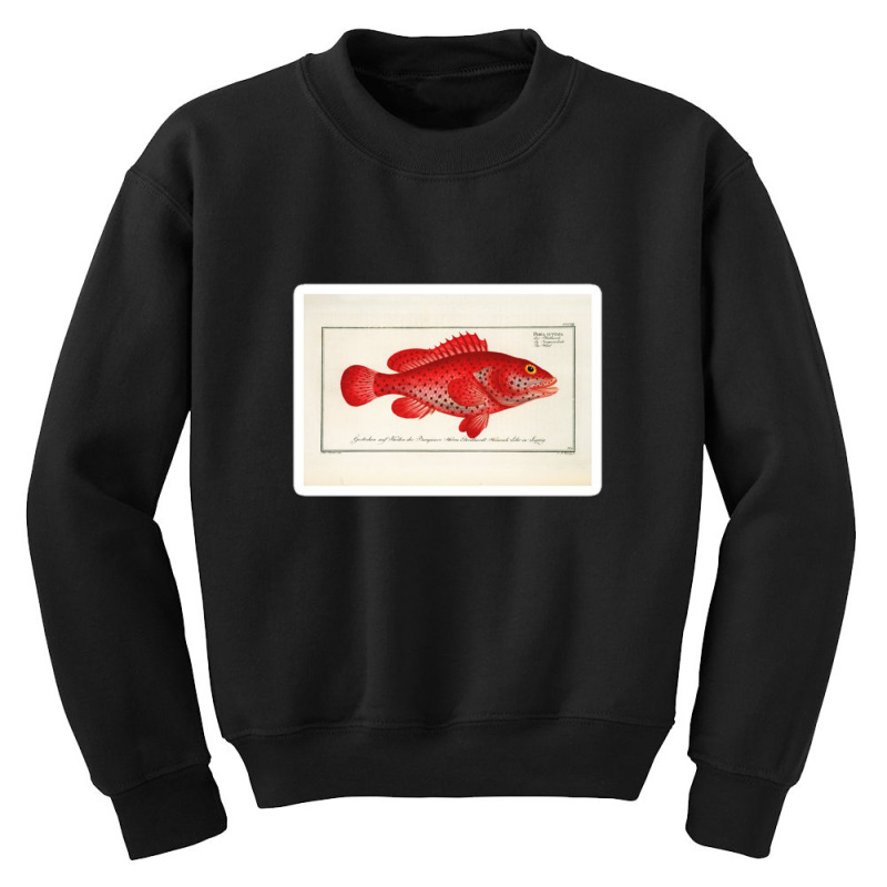 Antique Crustacean Print Homarus Americanus The American Lobster 57476 Youth Sweatshirt | Artistshot