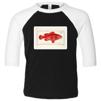 Antique Crustacean Print Homarus Americanus The American Lobster 57476 Toddler 3/4 Sleeve Tee | Artistshot