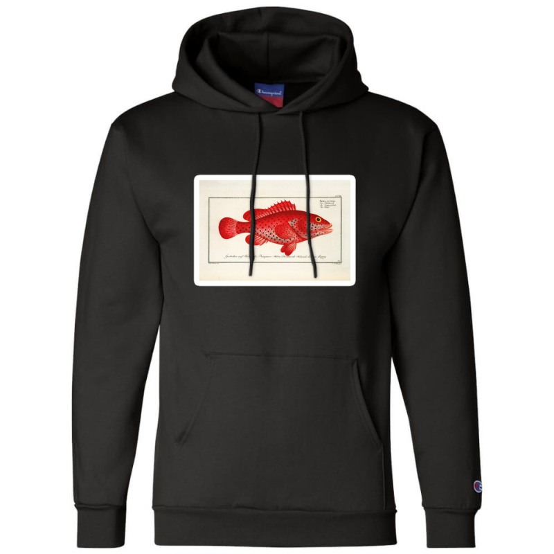 Antique Crustacean Print Homarus Americanus The American Lobster 57476 Champion Hoodie | Artistshot