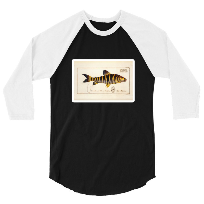 Antique Crustacean Print Squilla Empusa The Mantis Shrimp 57479365 3/4 Sleeve Shirt | Artistshot