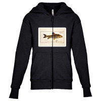 Antique Crustacean Print Squilla Empusa The Mantis Shrimp 57479365 Youth Zipper Hoodie | Artistshot