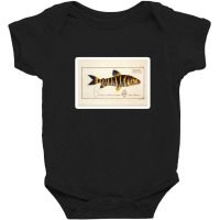 Antique Crustacean Print Squilla Empusa The Mantis Shrimp 57479365 Baby Bodysuit | Artistshot