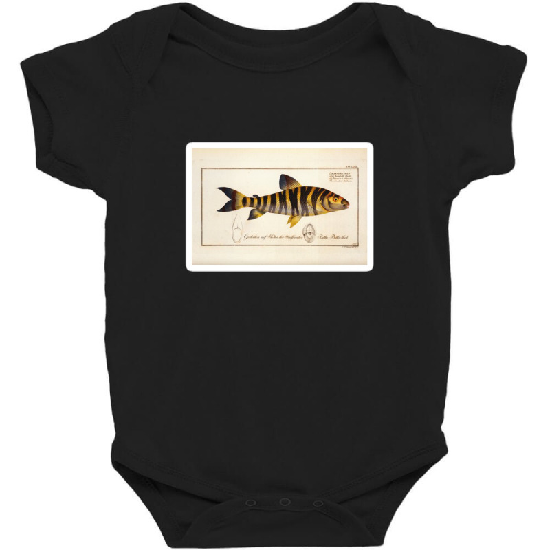 Antique Crustacean Print Squilla Empusa The Mantis Shrimp 57479365 Baby Bodysuit | Artistshot