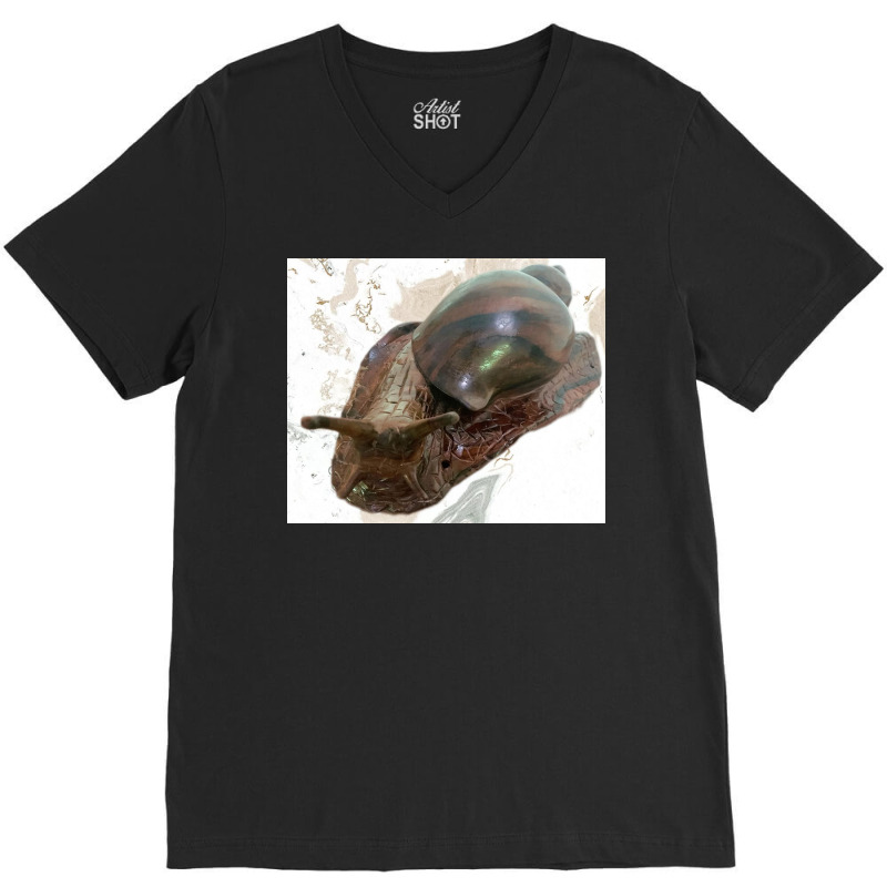 Snail V-Neck Tee by argo | Artistshot