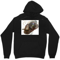 Snail Unisex Hoodie | Artistshot