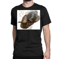 Snail Classic T-shirt | Artistshot