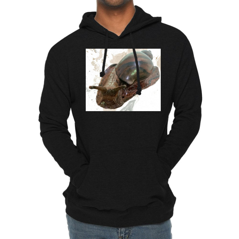 Snail Lightweight Hoodie by argo | Artistshot