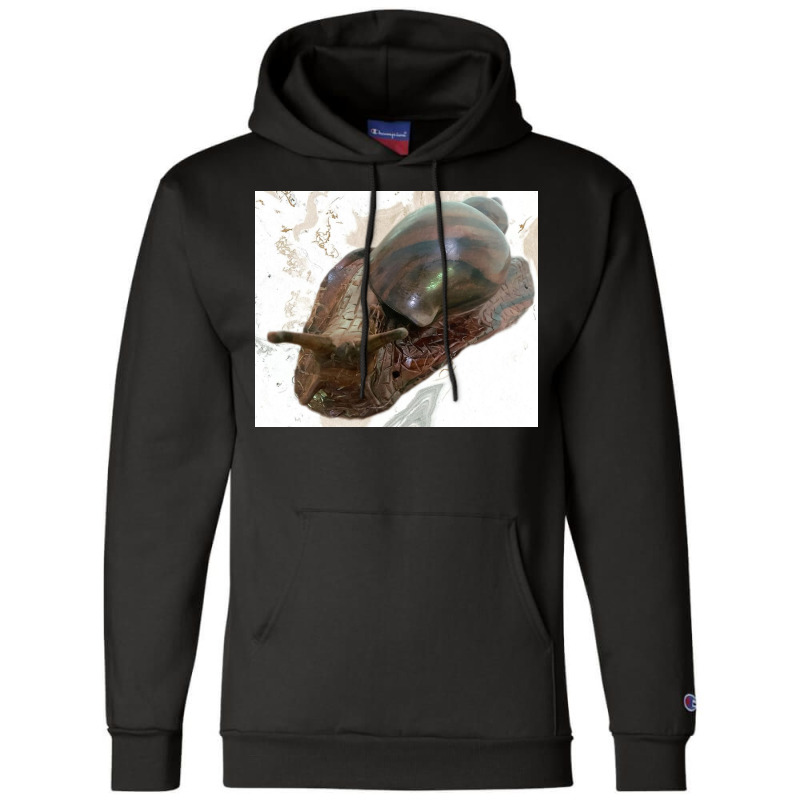 Snail Champion Hoodie by argo | Artistshot