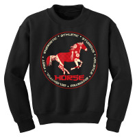 Chinese Zodiac Year Of The Horse Astrology Horoscope T Shirt Youth Sweatshirt | Artistshot