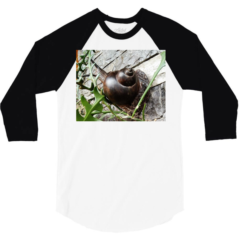 Snail Never Underestimate A Boy With A Snail T Shirt 3/4 Sleeve Shirt by argo | Artistshot