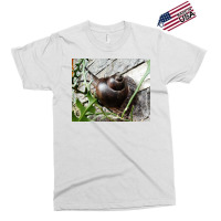 Snail Never Underestimate A Boy With A Snail T Shirt Exclusive T-shirt | Artistshot