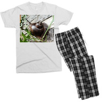 Snail Never Underestimate A Boy With A Snail T Shirt Men's T-shirt Pajama Set | Artistshot