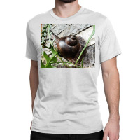 Snail Never Underestimate A Boy With A Snail T Shirt Classic T-shirt | Artistshot