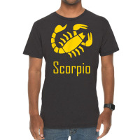 Scorpio Scorpion Zodiac Birthday Constellation Gift T Shirt Vintage T-shirt | Artistshot