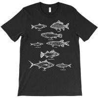 Fish Species Collection Biologist Fishkeeping Animal Fish T Shirt T-shirt | Artistshot