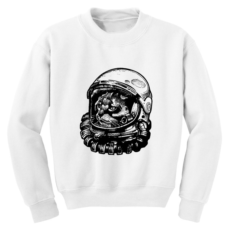 Apace Invader Youth Sweatshirt | Artistshot