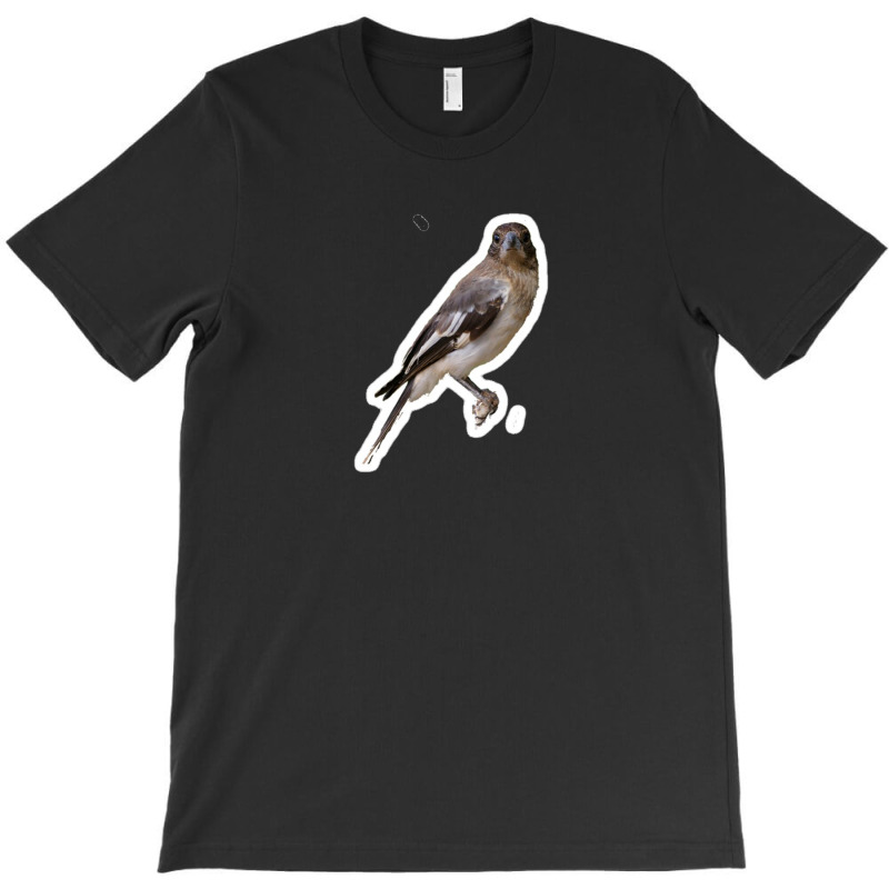 We Should Get Sushi Carol 94896886 T-shirt | Artistshot