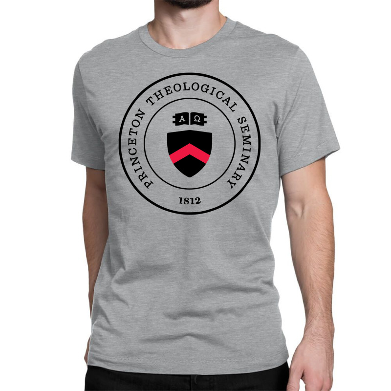 The School Classic T-shirt by kolatian | Artistshot