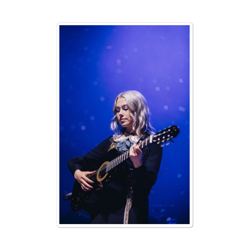 Phoebebridgers Playing The Guitar Sticker | Artistshot