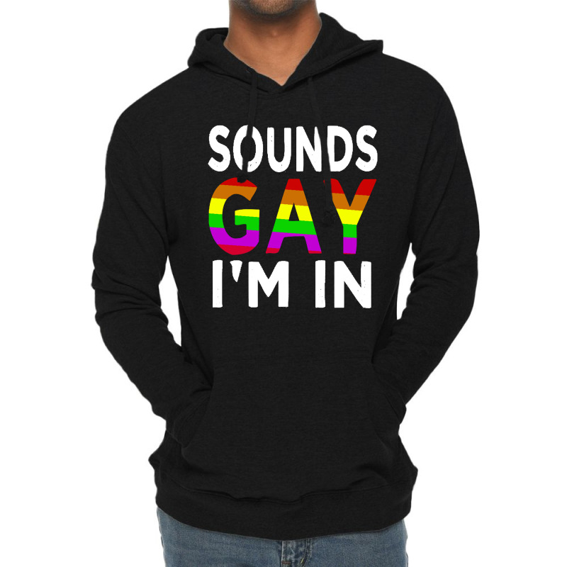 Sounds Gay Lightweight Hoodie | Artistshot