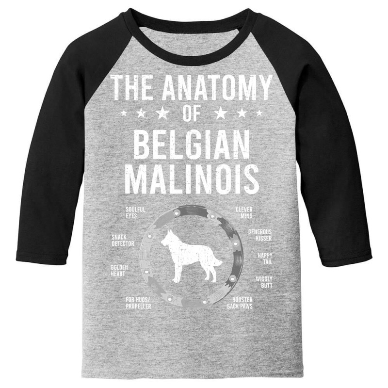 Anatomy Of Belgian Malinois Dog Lover Youth 3/4 Sleeve by Hoangduong | Artistshot