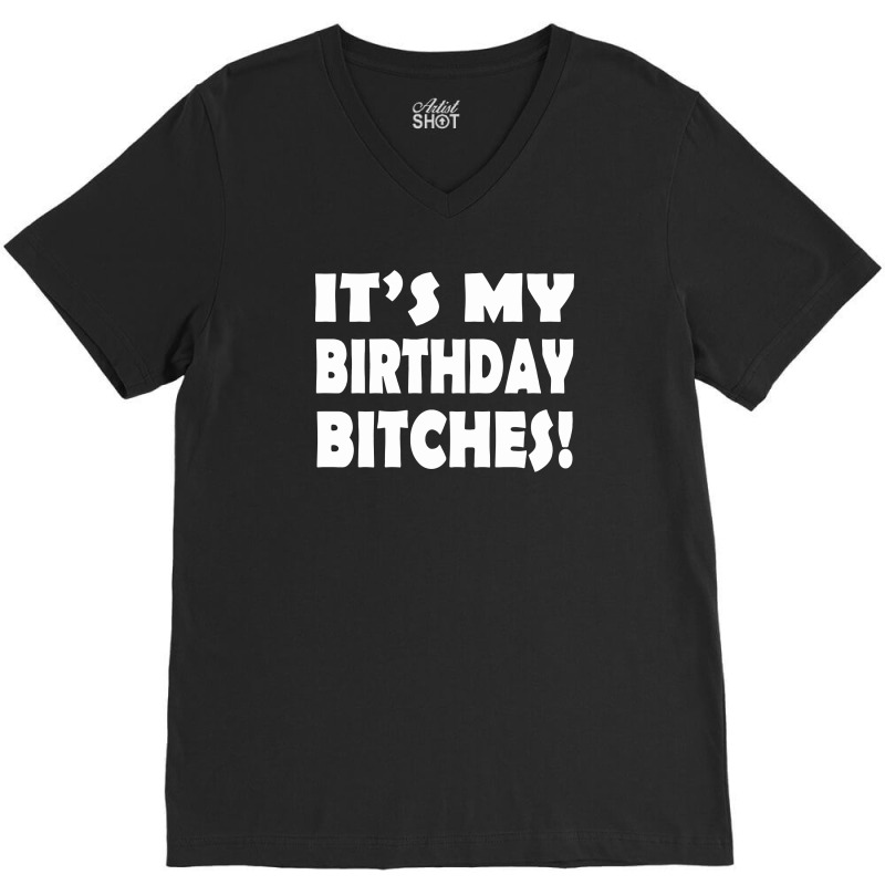 It's My Birthday Bitches! V-neck Tee | Artistshot